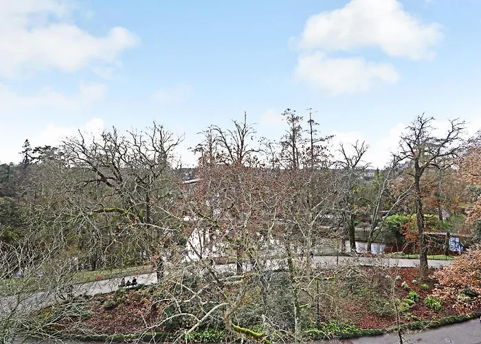 Apartment Maison Labruyere - Centre *