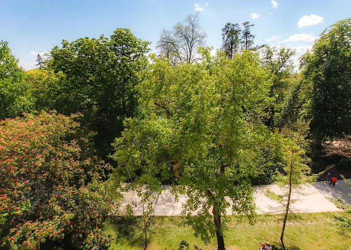 Maison Labruyere - Centre *